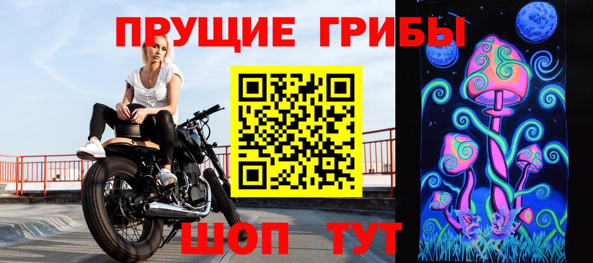 Псилоцибиновые грибы Psilocybine cubensis  Вход с VPN  Можайск 