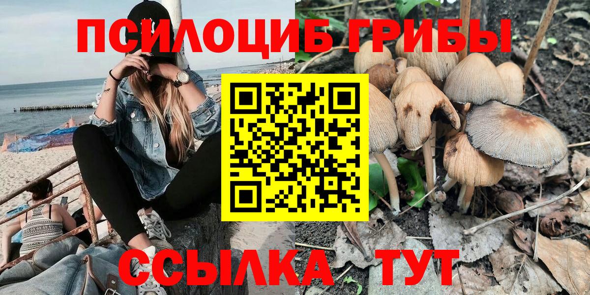 Псилоцибиновые грибы прущие грибы Можайск